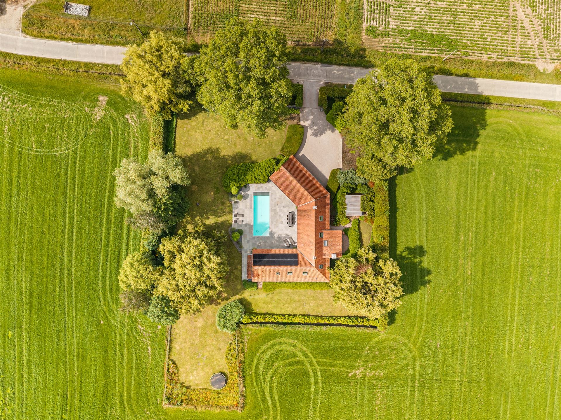 Charmante hoeve met zwembad en praktijk in Kruishoutem - foto 4