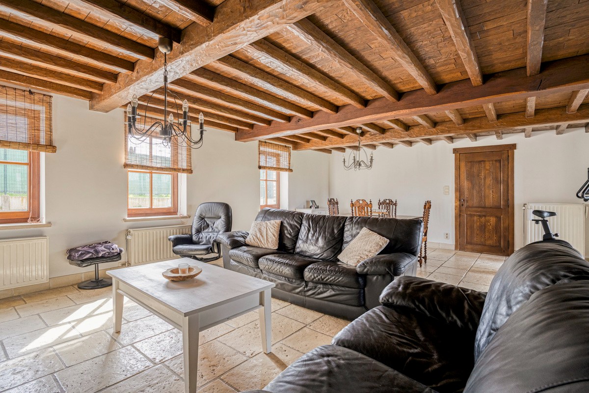 Zeer ruime landelijke woning met atelier en garages - foto 4