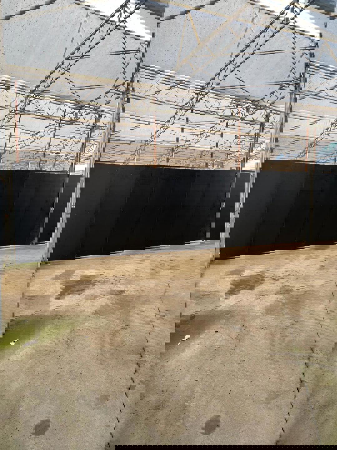 Serre (200m²) in Hoogstraten - foto 2