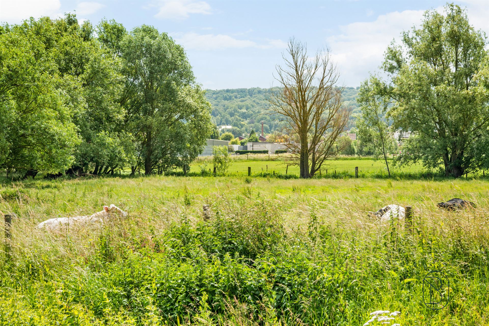 Prachtig gelegen charmante fermette - foto 1