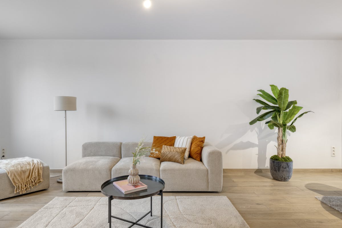 Ready-to-move-in new-build home with garden and swimming pond - photo 3