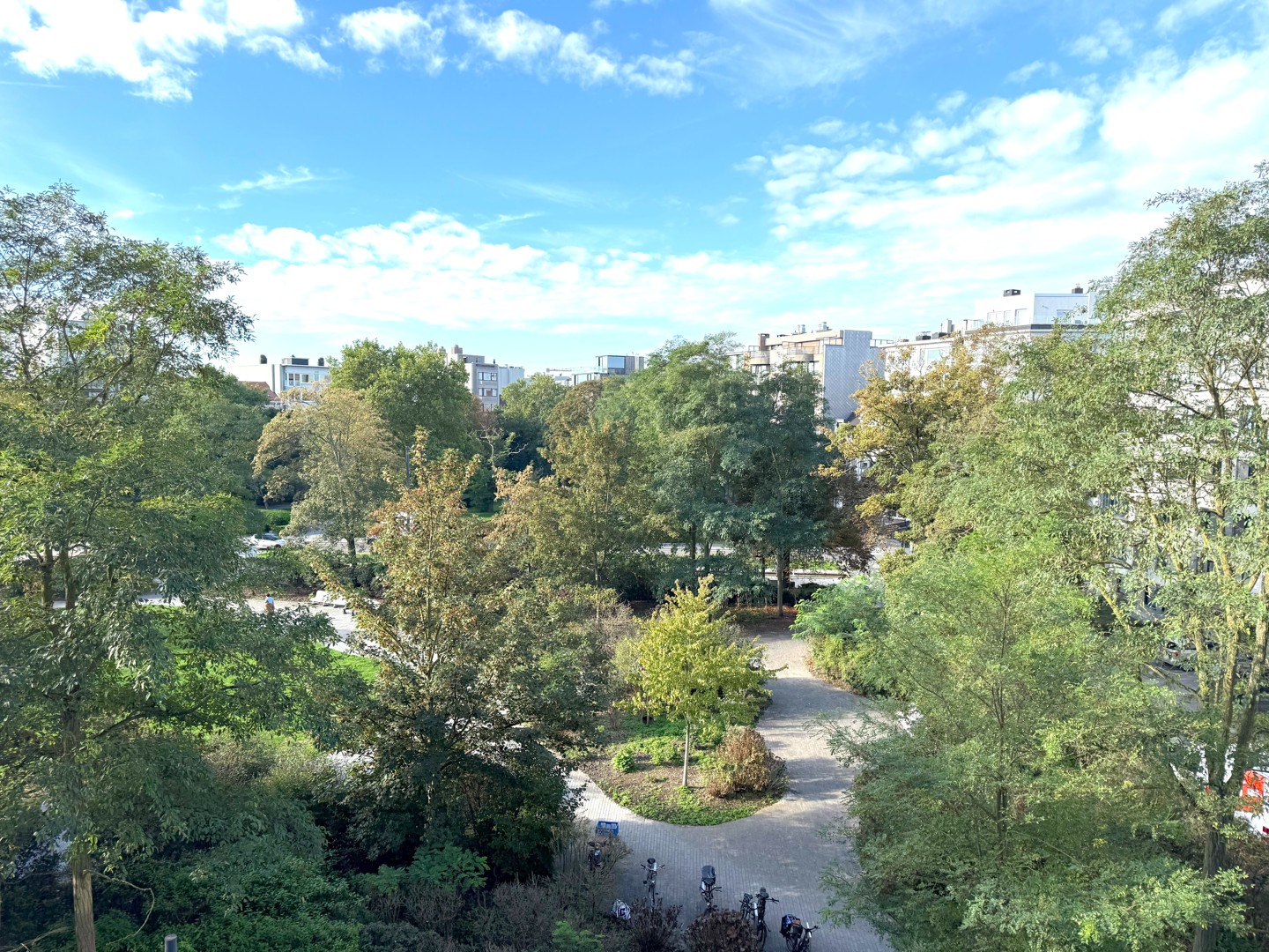 …
