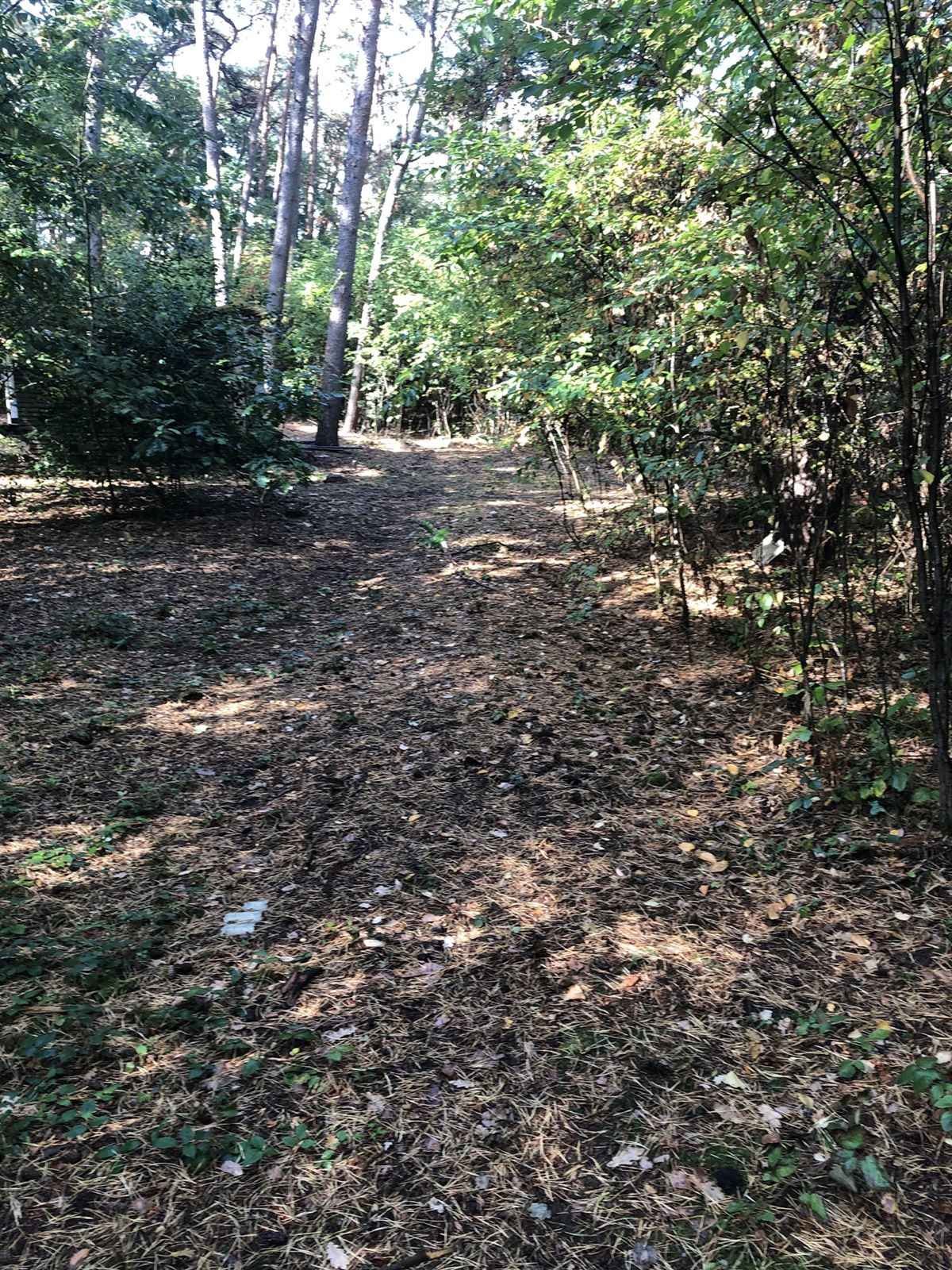 recreatief terrein - foto 5