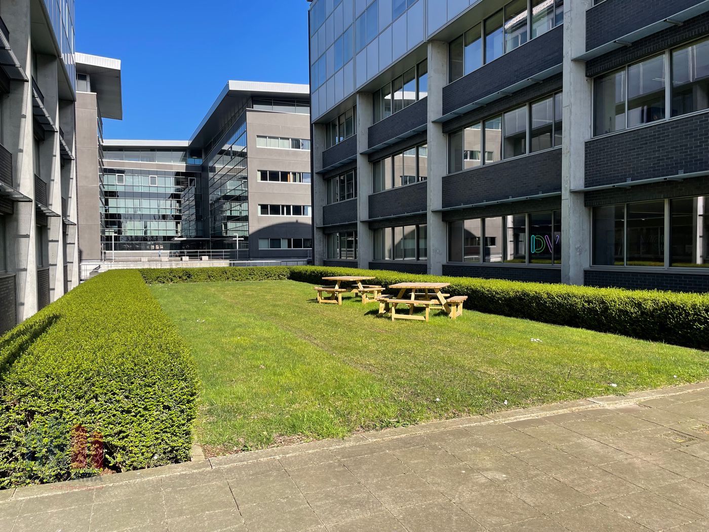 1.577 m² instapklare kantoorruimtes nabij de R4 te Merelbeke - foto 5