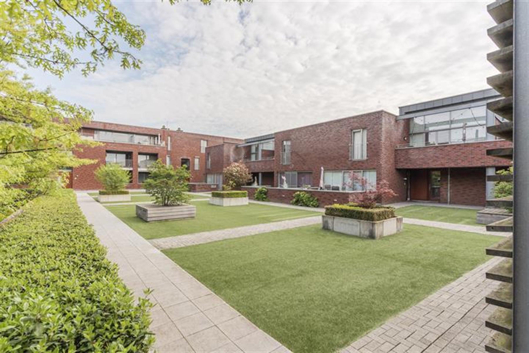 Apartment for rent in Tessenderlo-Ham with 1 bedroom - photo 3