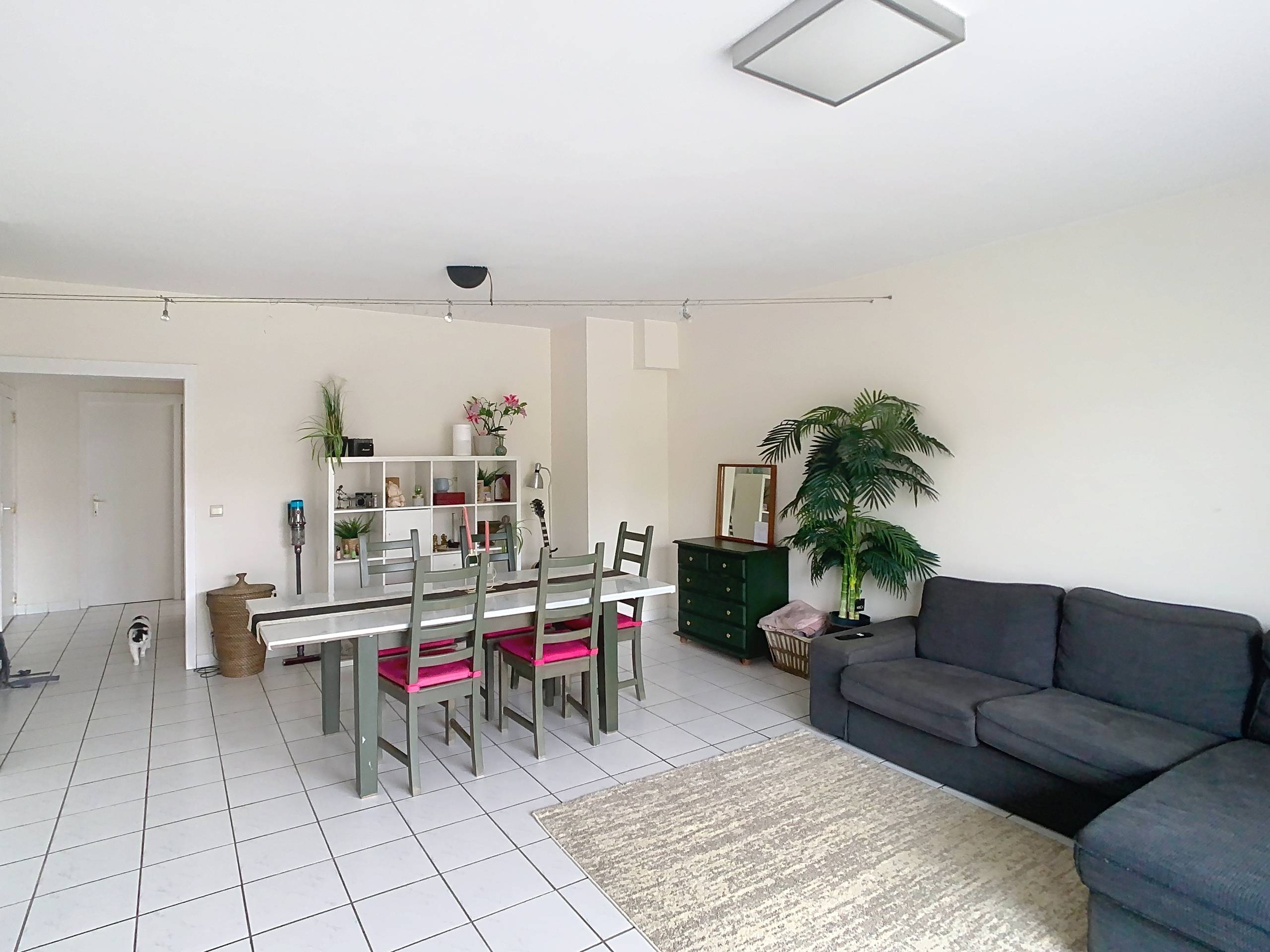 Appartement met 2 slaapkamers in Heverlee - foto 4