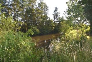 Land for sale in Begijnendijk