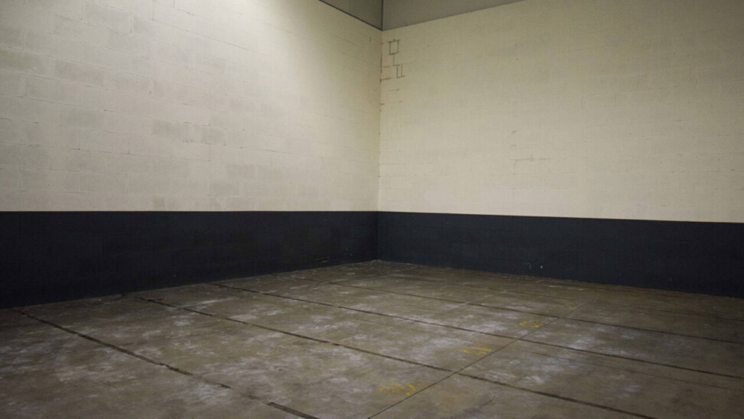 Instapklaar magazijn 350m² te huur vlak bij Afrit 28 Hasselt. - foto 3