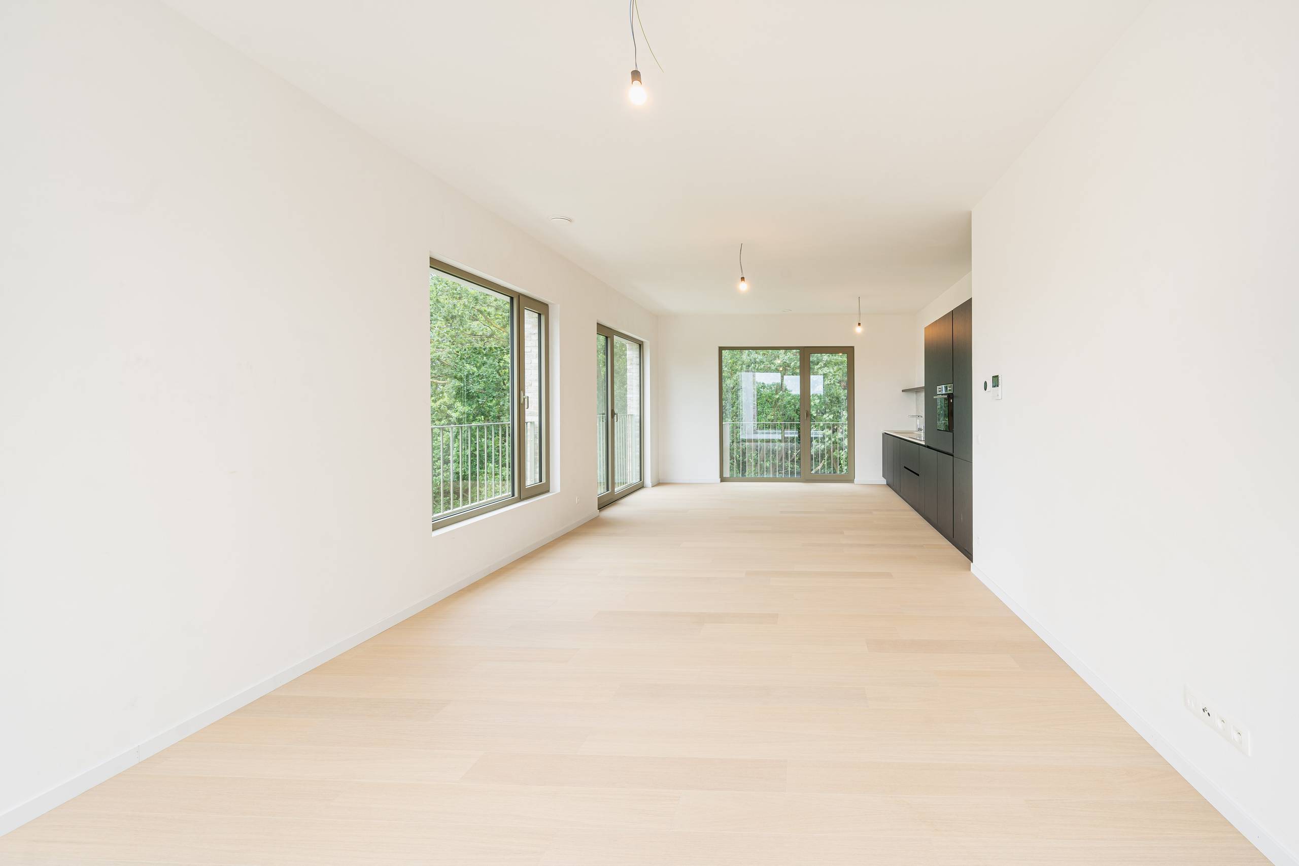 Instapklare nieuwbouw penthouse aan stadspark - foto 2