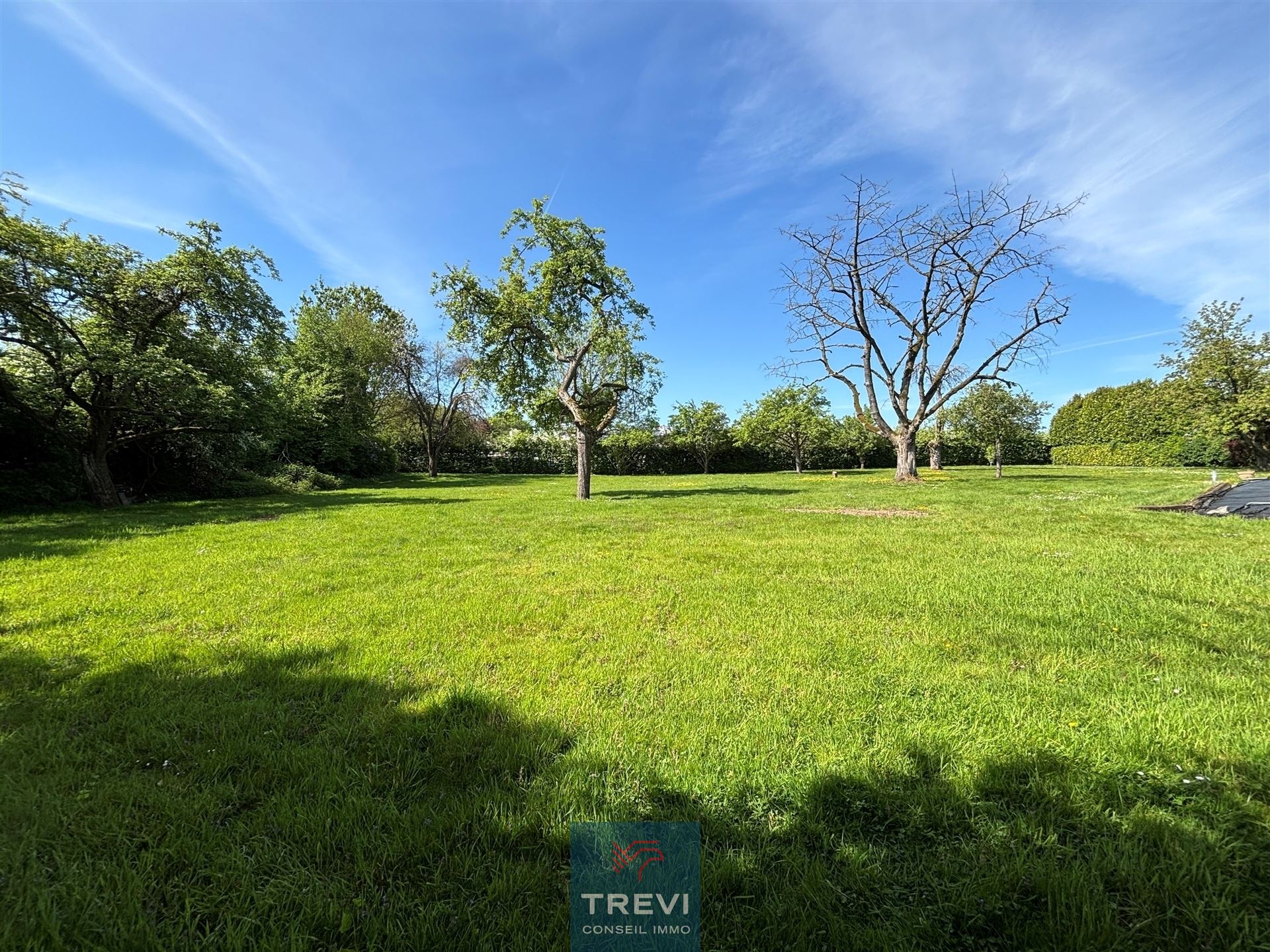 Superbe terrain pour une belle villa - photo 2