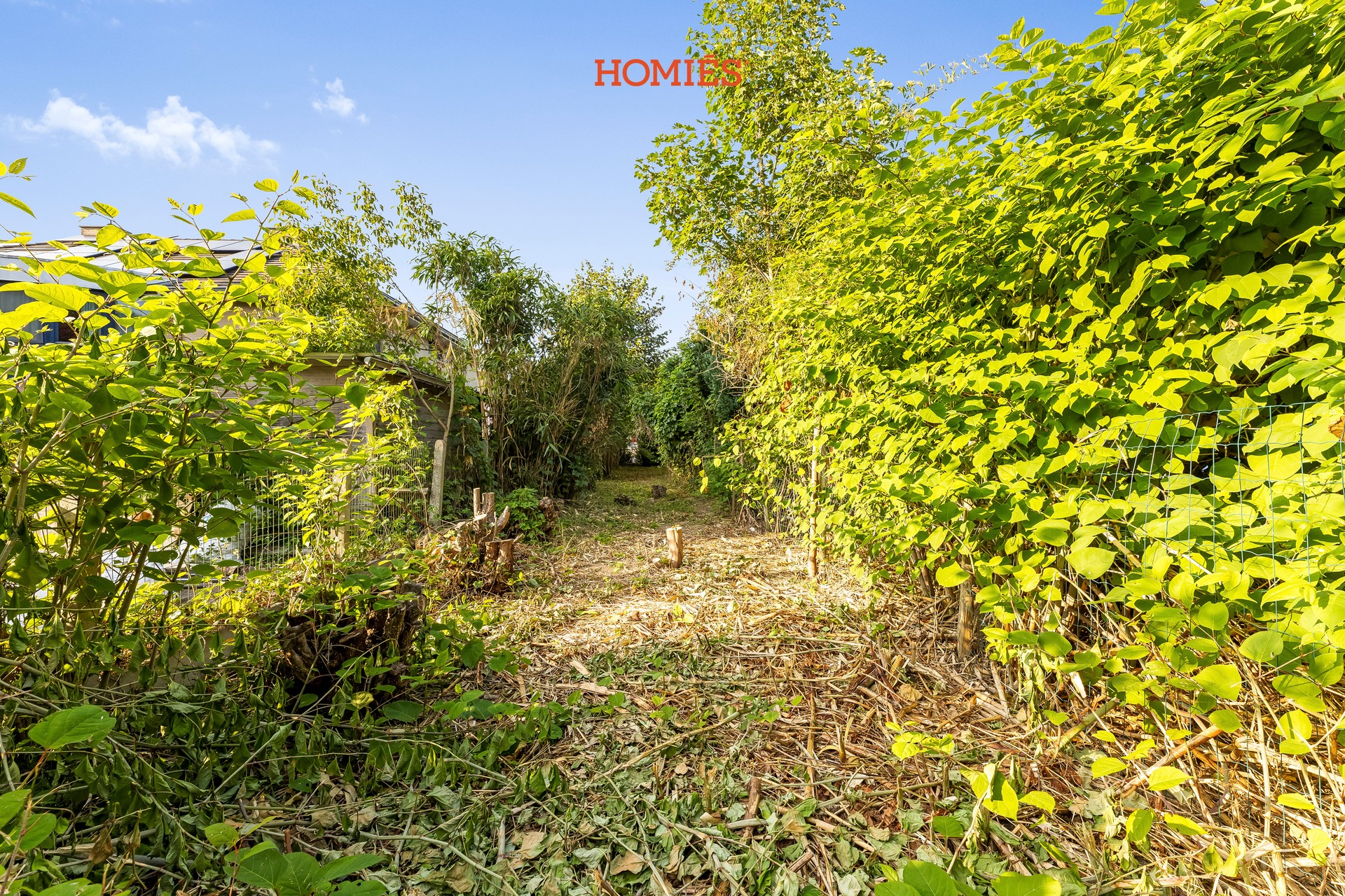 Ruime achtergelegen bouwgrond vlak bij Leuven - foto 2