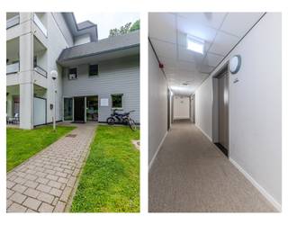 Bent u op zoek naar een vakantieappartement in Limburg waar rust, natuur en recreatie hand in hand gaan? Dan is dit gezellige appartement op het populaire recreatiedomein Hengelhoef in Houthalen-Helchteren beslist een bezoek waard.<br /><br />Gelegen in het hart van Midden-Limburg, vormt Hengelhoef de ideale uitvalsbasis voor zowel ontspanning als avontuur. Vanuit het domein bereikt u vlot tal van toeristische trekpleisters zoals Genk, Hasselt en Bokrijk. Daarnaast bevindt het park zich midden in een groene omgeving met uitgestrekte bossen, heidegebieden en talrijke wandel- en fietsroutes.<br /><br />Het appartement maakt deel uit van een kleinschalige cluster van vakantiewoningen aan de ingang van het domein. Dankzij de ligging op het gelijkvloers geniet u van optimaal comfort en een vlotte toegankelijkheid.<br /><br /><strong>INDELING</strong><br />Binnenin treft u een aangename en lichtrijke leefruimte met een gezellige zit- en eethoek. De open keuken sluit naadloos aan op de leefruimte en biedt alle nodige functionaliteiten voor een zorgeloos verblijf.<br />Verder beschikt het appartement over een badkamer uitgerust met douche, wastafel en toilet, evenals slaapgelegenheid voor maximaal vijf personen. Hierdoor is het vakantieverblijf uitermate geschikt voor gezinnen, koppels of investeerders die op zoek zijn naar een interessante recreatieve verhuurmogelijkheid. Een absolute meerwaarde is het zonnige, zuidgerichte terras, waar u in alle rust kunt genieten van de namiddag- en avondzon.<br /><br /><strong>DOMEIN HENGELHOEF</strong><br />Recreatiedomein Hengelhoef staat bekend om zijn uitgebreide recreatieve voorzieningen voor jong en oud. Op het domein en in de directe omgeving vindt u onder meer diverse speeltuinen, sport- en ontspanningsmogelijkheden, een openluchtzwembad en een indrukwekkend subtropisch zwemparadijs op wandelafstand. Daarnaast beschikt het park over een strandbad, ligweides en verschillende recreatieve faciliteiten die zorgen voor eindeloos vakantieplezier.<br /><br /><strong>TROEVEN OP EEN RIJ</strong>
<ul>
<li>Gelegen op het geliefde recreatiedomein Hengelhoef</li>
<li>Centrale ligging in Midden-Limburg</li>
<li>Gelijkvloers appartement met praktische indeling</li>
<li>Slaapgelegenheid voor 5 personen</li>
<li>bosrijke omgeving met wandel- en fietsmogelijkheden</li>
</ul>
<br />Genieten van rust, natuur en recreatie in het hart van Limburg? Ontdek de mogelijkheden van dit charmante vakantieappartement op Hengelhoef.<br /><br />Heeft deze vakantiewoning in Houthalen-Helchteren uw interesse gewekt? Neem dan snel contact met ons op via <span><strong>089 23 44 22</strong></span> of mail naar <span><strong>info@immoverslegers.be</strong></span>!<br /><br /><em>-Stedenbouwkundige informatie in aanvraag-</em><br />