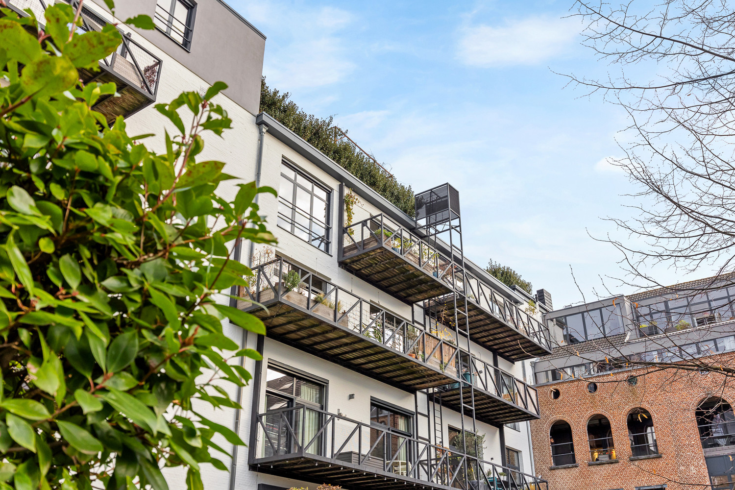 Een woning in de lucht: 'Uitzonderlijke loft 200m² + aangelegde daktuin, terras en 2 optionele garages in rustig, groen woonerf op de grens Borgerhout/Antwerpen' - foto 2
