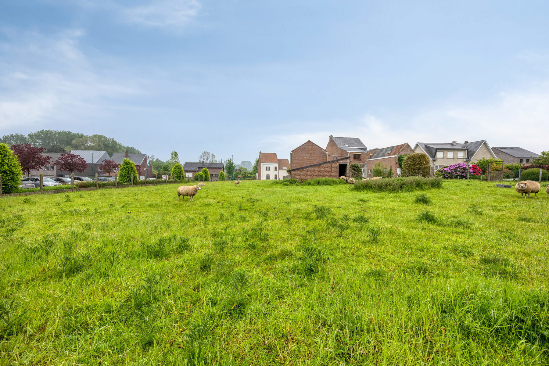 Bouwgrond voor open bebouwing op 10a 16ca! - foto 5