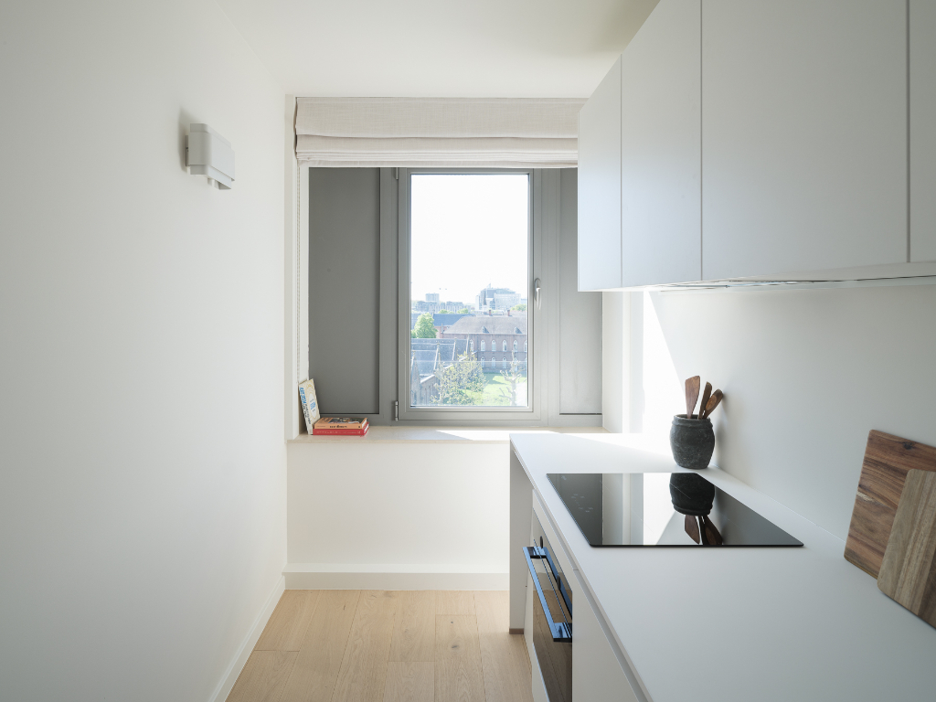 Centrum Gent – lichtrijk gerenoveerd twee slaapkamerappartement met terras en zicht over de Bijloke en de Leie. - foto 5