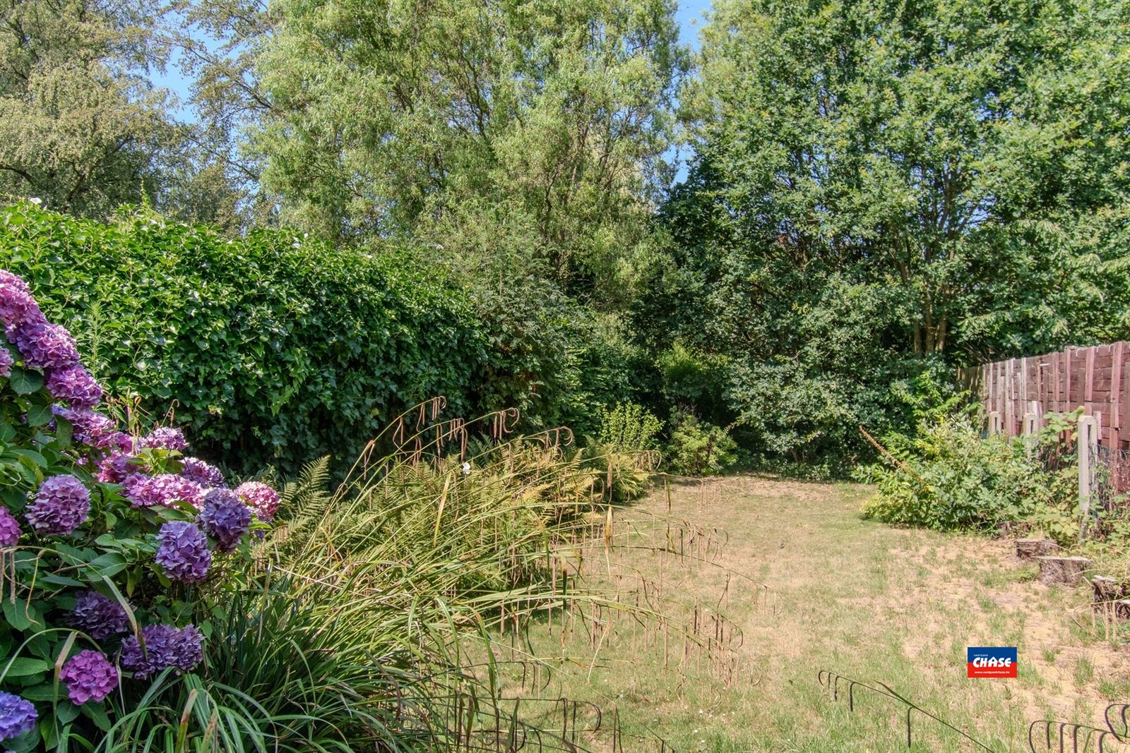 Rustig gelegen Bel-étage met drie slaapkamers, oprit, garage en een grote tuin  - foto 5