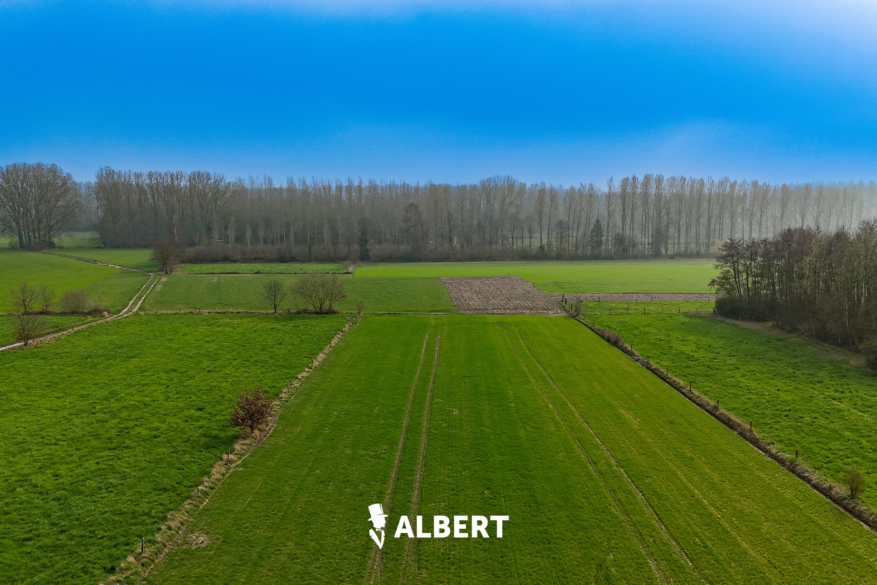 Land for sale in Dendermonde - photo 3