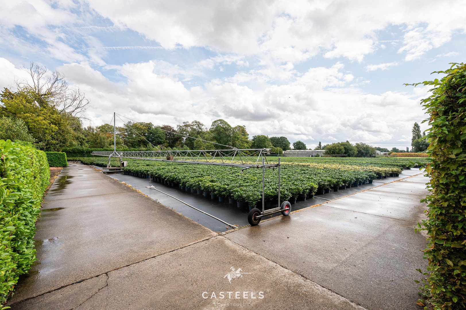 Uitzonderlijke tuinbouwsite in hartje Lochristi - foto 4
