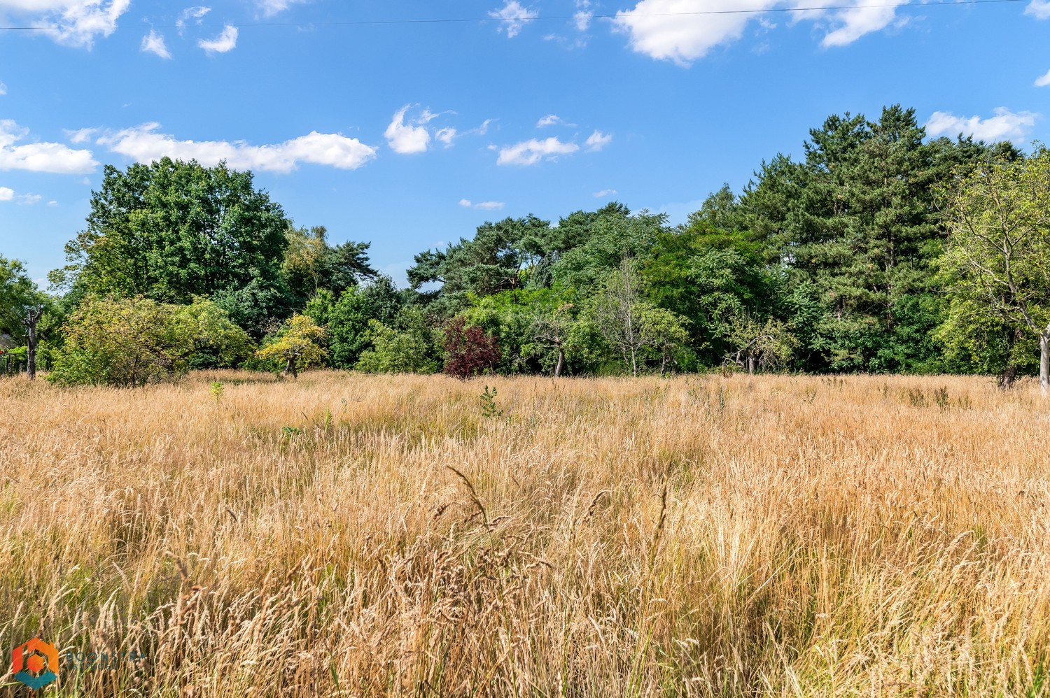 Terrain à vendre à Tessenderlo-Ham - photo 3