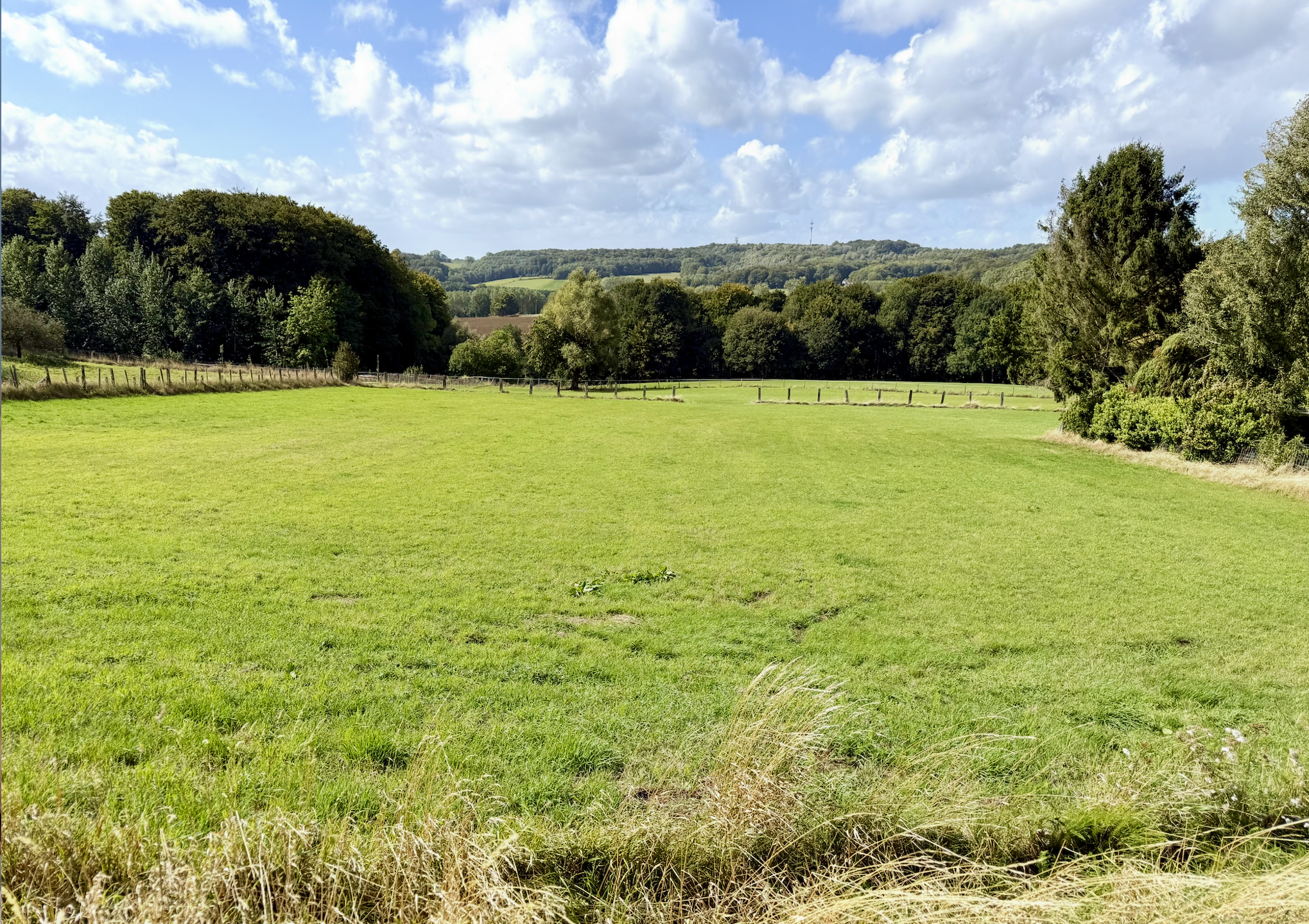 Bouwgrond van 1504m2 met een UNIEK ZICHT! - foto 2