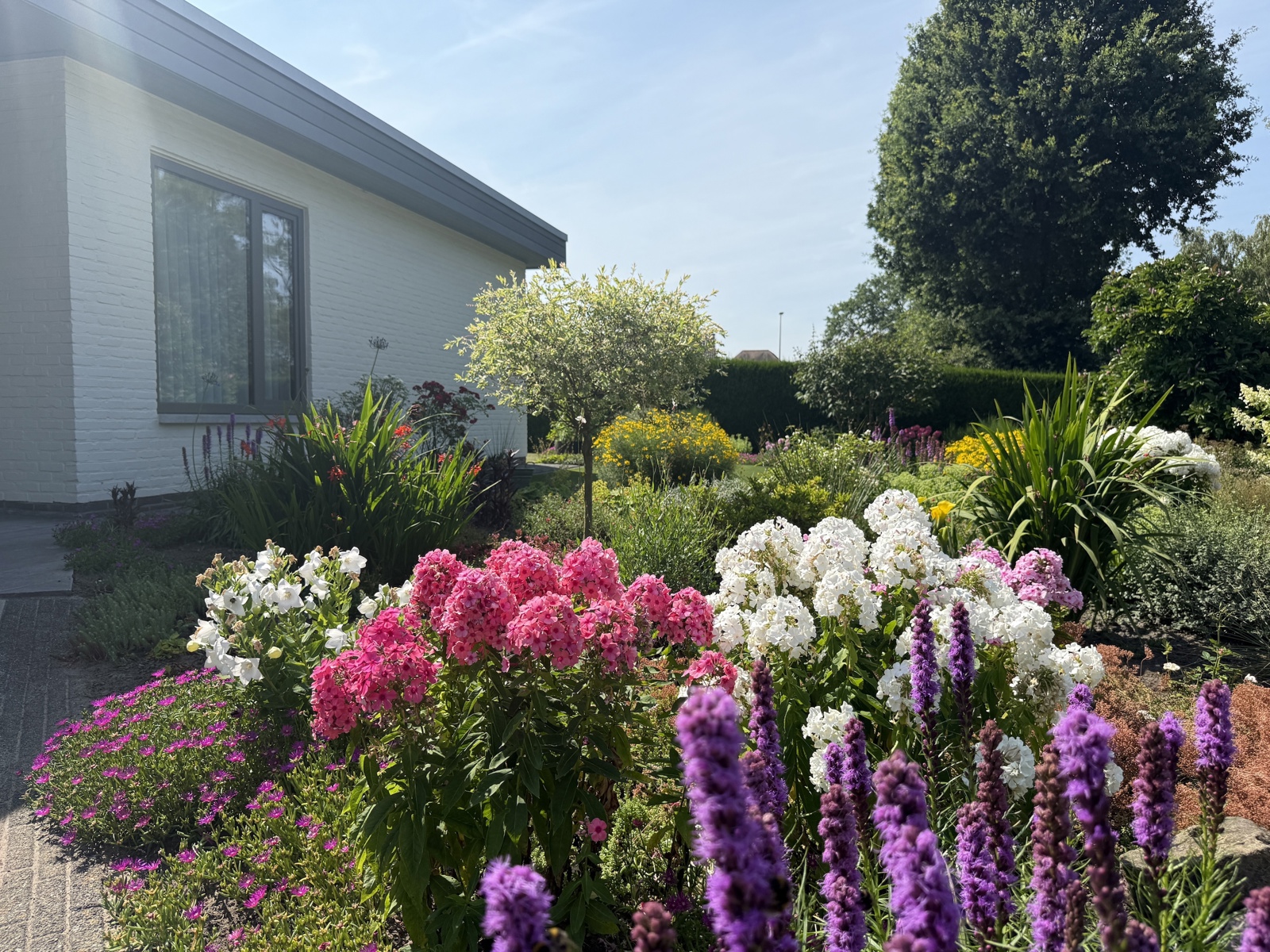 Prachtige gelijkvloerse woning met 4 slpk op 13a 44ca - foto 4