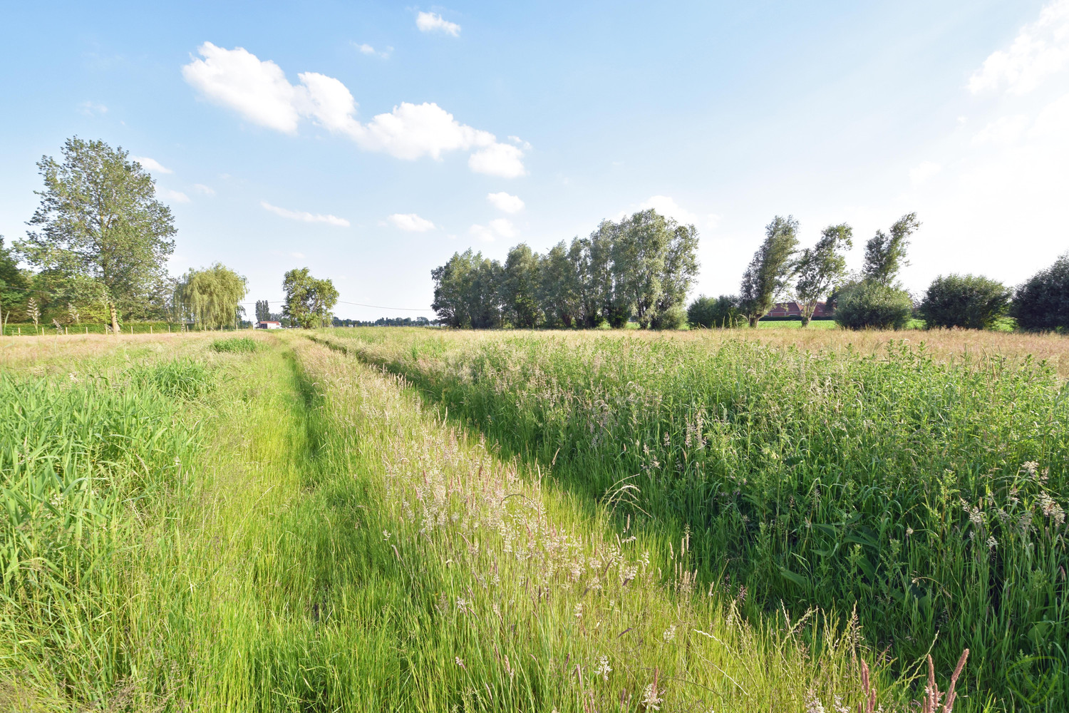 Makkelijk toegankelijk stuk landbouwgrond nabij het centrum van Knesselare - foto 4