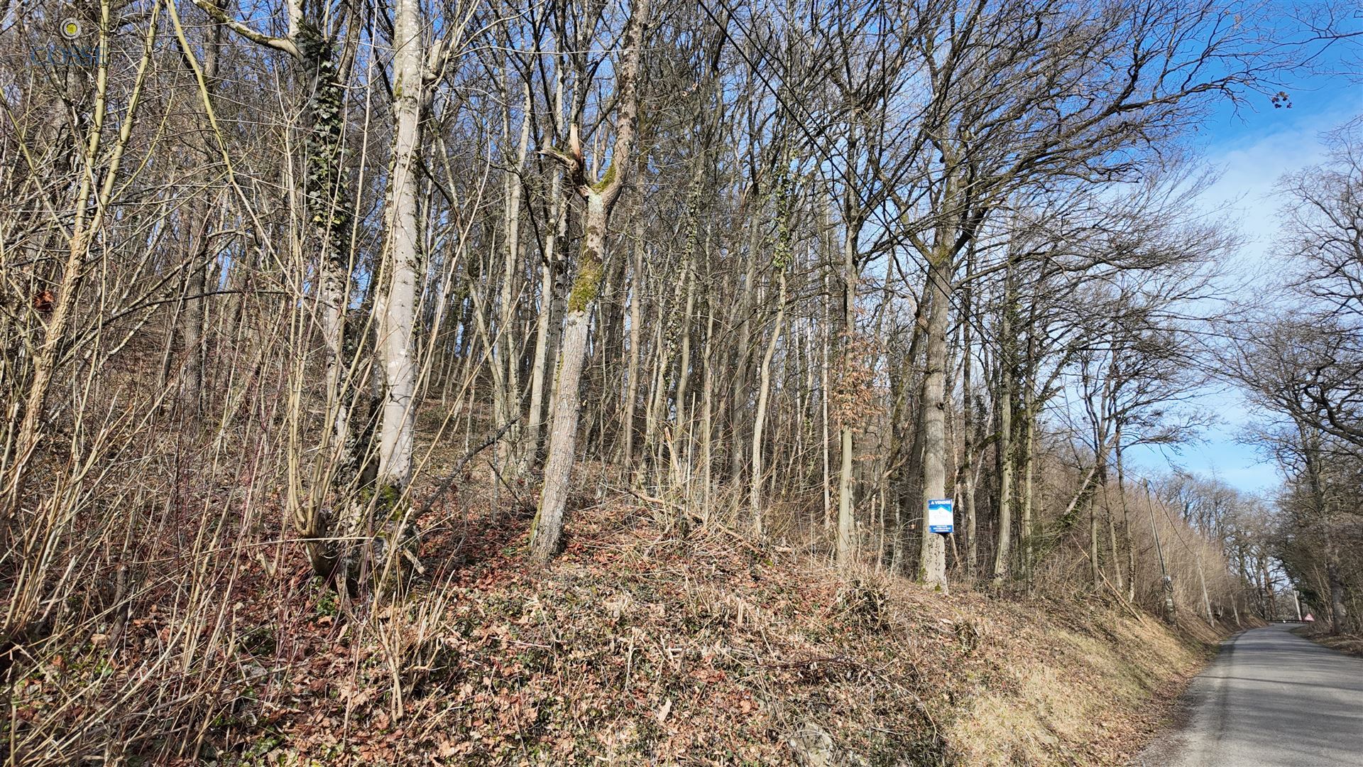 Plot - photo 4