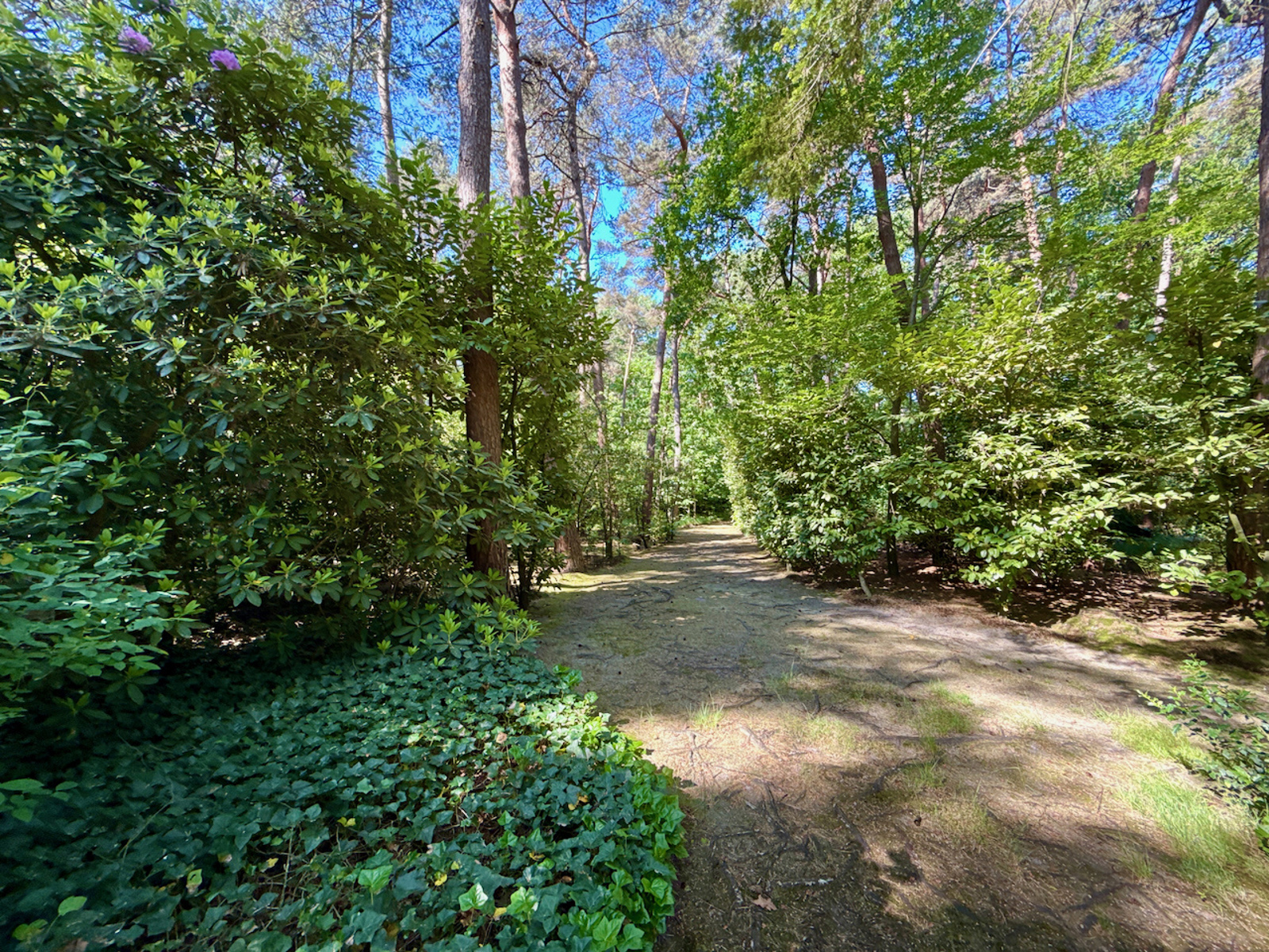 Huis te koop in Oud-Turnhout met 4 slaapkamers - foto 2