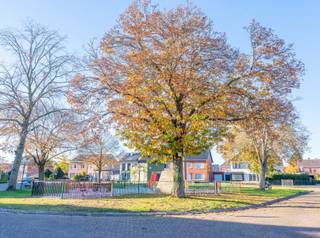<p>Deze ruime en instapklare woning ligt in een rustige, kindvriendelijke straat, op wandelafstand van het bruisende centrum van Oud-Turnhout. U geniet hier van een rustige woonomgeving met alle voorzieningen vlakbij. Bovendien is de woning uitgerust met zonnepanelen (2160 Wp), die inbegrepen zijn in de verkoopprijs – een mooie troef voor lagere energiekosten.</p>
<p><strong>Indeling</strong><br />Gelijkvloers: u komt binnen via de inkomhal, die toegang geeft tot de lichtrijke leefruimte met zithoek en eetgedeelte. De grote raampartijen zorgen voor een aangename lichtinval en geven mooi zicht op de tuin. De leefruimte is bovendien uitgerust met een gezellige inbouwhaard. Aansluitend bevindt zich de vernieuwde, praktisch ingerichte keuken met zicht op het terras en de tuin. Verder vindt u op het gelijkvloers nog een gastentoilet met lavabo, een handige berging en een inpandige garage met sectionaalpoort.</p>
<p>Verdieping: op de 1ste verdieping bevinden zich 3 ruime slaapkamers en een smaakvol gerenoveerde badkamer, afgewerkt met hoogwaardige materialen. Via een vaste trap bereikt u de 2e verdieping, waar een ruime zolderberging aanwezig is met extra mogelijkheden.</p>
<p><strong>Buiten</strong><br />De zuidgerichte tuin met terras biedt privacy en is ideaal om in alle rust te genieten.</p>
<p><strong>Pluspunten</strong></p>
<ul>
<li>
<p>Rustige, kindvriendelijke ligging</p>
</li>
<li>
<p>Zeer centrale ligging nabij winkels, scholen en voorzieningen</p>
</li>
<li>
<p>Gerenoveerde keuken en badkamer</p>
</li>
<li>
<p>Zonnepanelen (2160 Wp)</p>
</li>
<li>
<p>Inpandige garage met sectionaalpoort</p>
</li>
<li>
<p>Zonnige tuin (zuidoriëntatie)<br /><br />Grote renovatie (keuken &amp; badkamer) in 2010 én vernieuwd dak in 2023.</p>
</li>
<li>
<p>Vaste trap naar zolder (opberg- of uitbreidingsmogelijkheden)</p>
</li>
</ul>
<p>Bent u op zoek naar een comfortabele, energiezuinige woning op een fijne locatie? Dan is dit absoluut een bezoek waard! Neem gerust contact op voor meer info of een bezichtiging.</p>