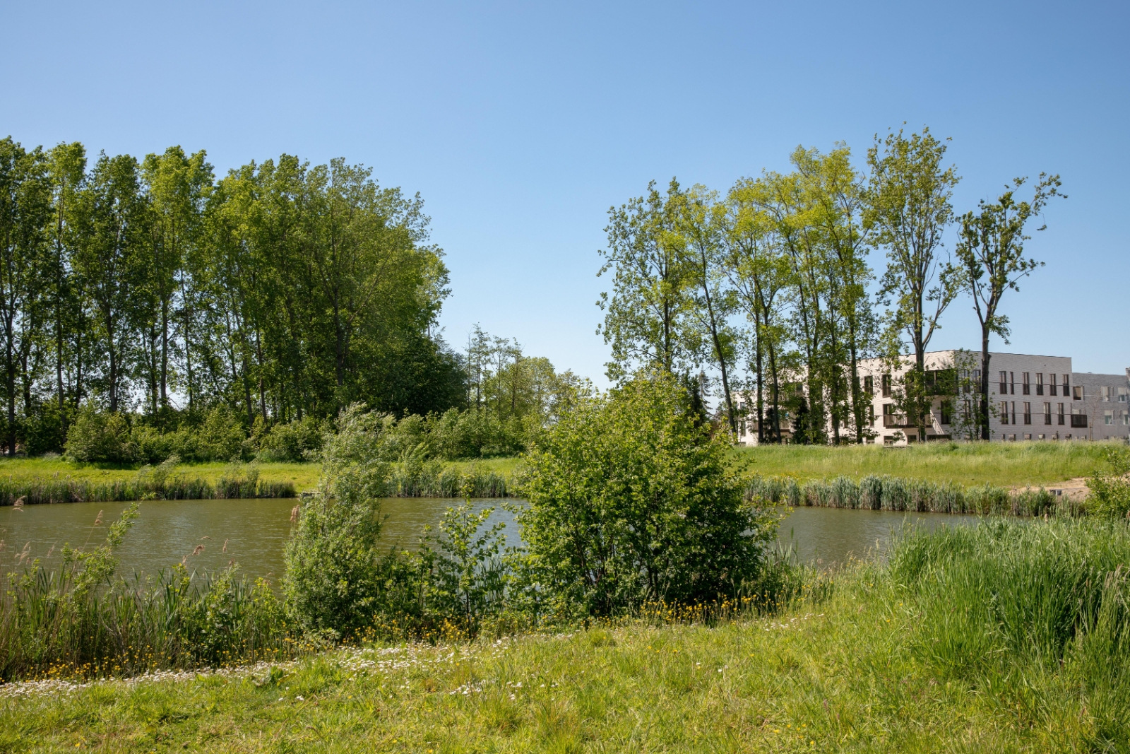 Appartement à vendre à Ardooie avec 2 chambres - photo 1