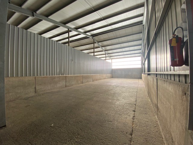 Loods 192m² te huur te Geluwe - foto 5