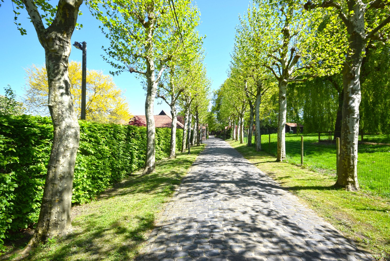 UITZONDERLIJK LANDHUIS MET FRAAIE TUINEN - VIJVER - WEIDES ... - foto 3