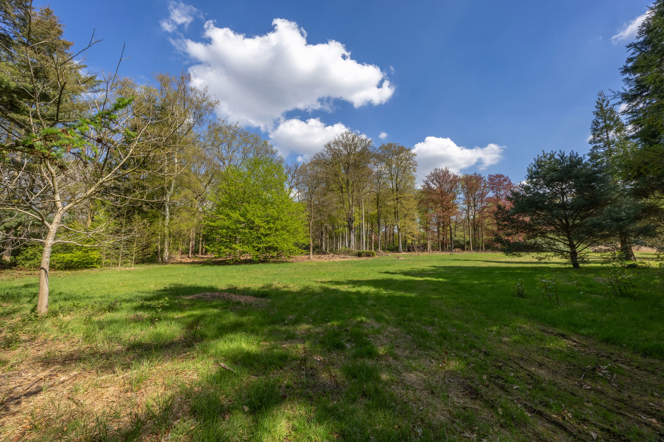 Terrain à vendre à Brasschaat