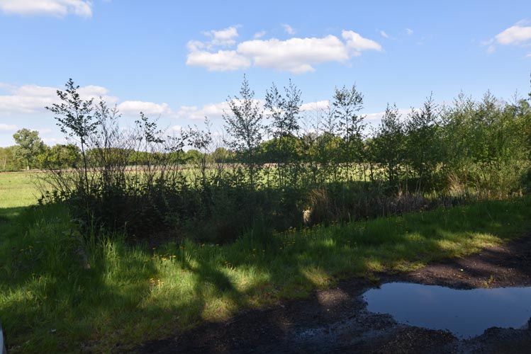 Terrain à vendre à Heist-Op-Den-Berg - photo 3