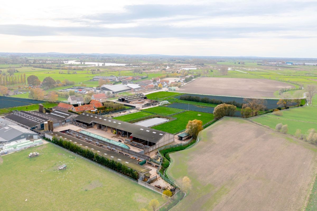 Groot vleesveebedrijf te koop te Diksmuide - photo 2