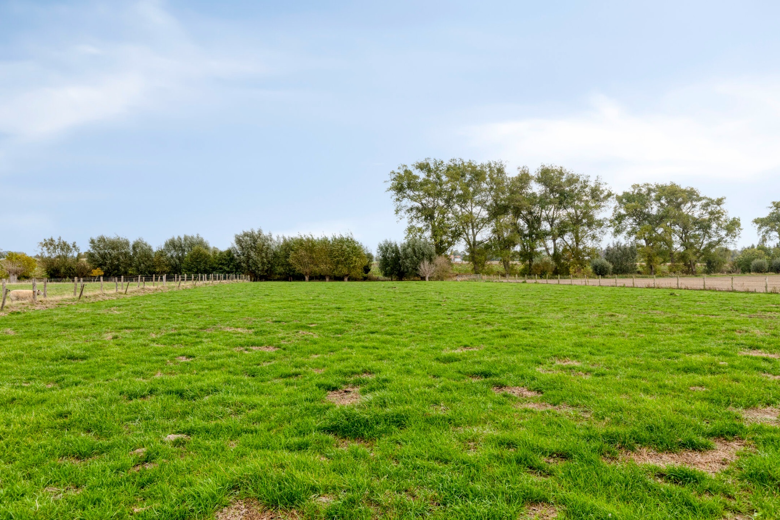 Woning met stallingen en weide op 8.844 m2 - foto 5