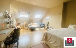 In de wijk Bascule/Louise/Bois de la Cambre, gelegen in een typisch Bourgeoise & Brussels huis, presenteren we deze gezellige GEMEUBILEERDE STUDIO...