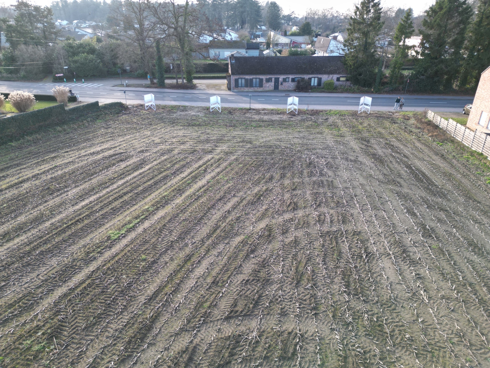 Land for sale in Westerlo - photo 5