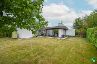In de regio van het kasteeldomein Wallemote-Wolvenhof vinden we deze gelijkvloerse woning met <strong>drie slaapkamers</strong> op een hoekperceel van maar liefst 785m². De woning werd in 1966 gebouwd en was toen reeds een voorloper op zijn tijd. Hoewel de woning een grondige renovatie nodig heeft, zitten o.a. de indeling en lichtinval van de woning fantastisch goed. De eigenlijke kelder is te bereiken via de nachthal en biedt stockagemogelijkheden. Zeer lichtrijke en uitnodigende inkomhal, gastentoilet, toegang tot de inpandige garage, de uitbouw met bureauruimte en speelhoek / zitruimte. Verder is er de woonkamer met eet- en zitgedeelte, de keuken met zicht op het ingesloten terras, de nachthal met toegang tot ca. alle ruimtes zijnde de drie slaapkamers, de kelder, de keuken en de inkomhal. De badkamer bevindt zich momenteel ensuite tussen de masterbedroom en de grootste kinderkamer. Zeer aangename en privatieve tuin, ingesloten terras, zonneterras en aparte garagebox. CV op stookolie | Niet asbestveilig (3 materialen) | Hoofdzakelijk dubbele beglazing (HR), deels enkel glas. Alles betreft houten schrijnwerk | Regen- en putwater. Laurence (BIV 541 501) organiseert voor deze woning de bezoeken, mits het maken van een afspraak.