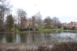 Commercieel gelijkvloers of kantoor gelegen in het centrum van Dilbeek.Dit gelijkvloers heeft een oppervlakte van 86m² en is gelegen op een...