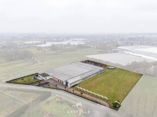 Dit sierteeltbedrijf biedt een instapklare basis voor een ondernemer die wonen en werken op één locatie wil combineren. De site ligt in landschappelijk agrarisch gebied en geniet een volledig geïsoleerde ligging, wat zorgt voor de nodige privacy en rust. Ondanks deze vrije ligging is de ontsluiting uitstekend: via de N445 zijn de R4 en E17 vlot bereikbaar, en het terrein is volledig verhard en ingericht om zwaar transport moeiteloos te faciliteren.<br /><br />Productie en techniek<br />De kweekfaciliteiten bestaan uit ca. 5.000 m² glas, verdeeld over Venlo-serres en De Clercq breedkappen. <br />De site is praktisch ingedeeld in vijf afdelingen, aangevuld met een ruime losruimte en een werkplaats.<br /><br />Op technisch vlak is de site volledig functioneel uitgerust:<br />-De teelt vindt plaats op een professioneel systeem van eb- en vloed/roltafels.<br />-Het klimaat en de scherming worden centraal aangestuurd via pc, waarbij twee afdelingen beschikken over dubbele scherming en de overige drie over enkele scherming (allen met energiedoeken).<br />-Voor de belichting is er een installatie met assimilatielampen van 600 en 1000Watt.<br />-Het geheel wordt verwarmd via een onder- en bovennet, ondersteund door ventilatoren en zwavelverdampers.<br />-Een opvallende troef voor de bedrijfszekerheid is de aanwezigheid van een grote stroomgenerator, die de continuïteit van de installaties waarborgt. <br />-Een open vijver van +/- 6a 66ca.<br /><br />Wonen en beheer<br />De site is uniek, er zijn twee wooneenheden van elk ca. 240 m² in de structuur ingebouwd, wat ideaal is voor familiale exploitatie of om permanent toezicht op de bedrijfsvoering te houden. Daarnaast is er een representatieve ontvangstruimte met burelen, sanitair en een keuken voorzien. De volledige site beschikt over wifi-dekking en is beveiligd tegen inbraak.<br /><br />Verkoopvoorwaarden<br />De exploitatie is volledig vergund (Milieuklasse 2). De overname gebeurt via een aandelenoverdracht van de onroerend goed vennootschap (Share Deal).<br /><br />Contact<br />Wenst u meer informatie over dit operationele bedrijf of wilt u een discreet bezoek inplannen? Neem contact met ons op voor de verdere details.