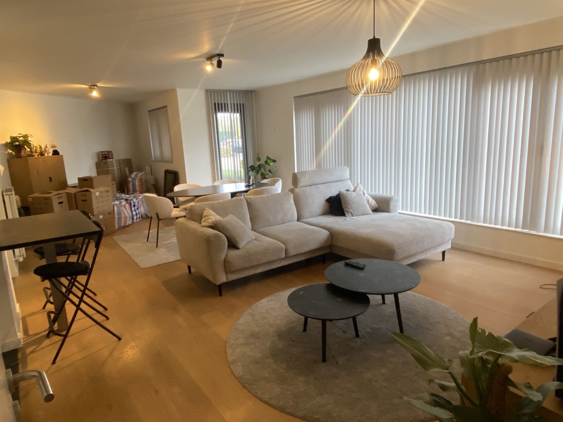 Apartment for rent in Sint-Amands with 2 bedrooms - photo 5