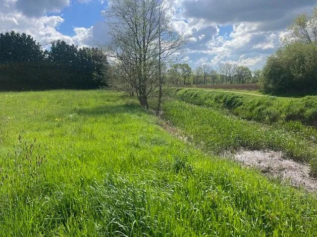 BETEKOM - Drie ruime bouwgronden voor OB, vlak bij het centrum - foto 4