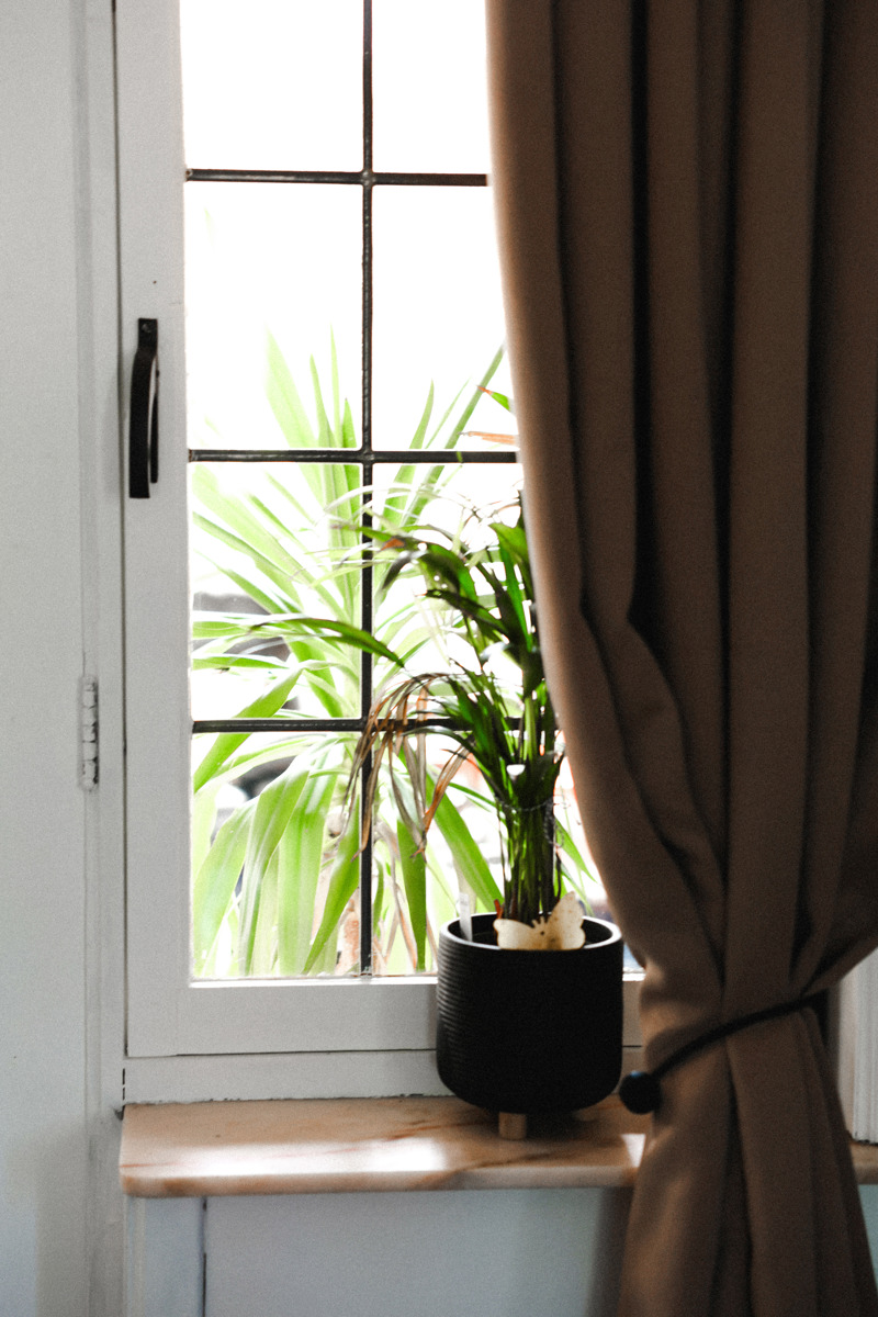 VERNIEUWDE WOONST + 2 WEIDEN + BOS - foto 5