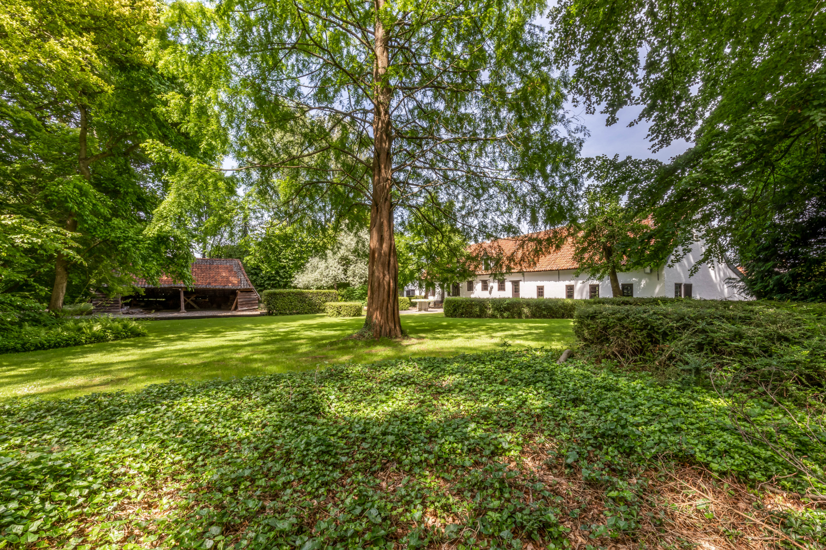 Authentieke hoeve in uitzonderlijke conditie op een perceel van 5.263 m² te Malle aangrenzend aan bosrijk gebied. - foto 2