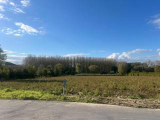 Terrain à vendre à Lede