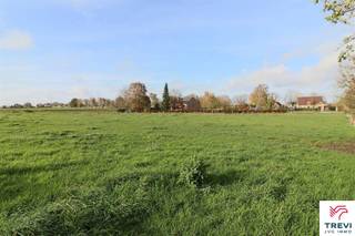 Grand et beau terrain à bâtir, de configuration plane, de +/- 59 ares sis en zone d'habitat à caractère rural. Façade de +/- 30 m (zone de recul à...