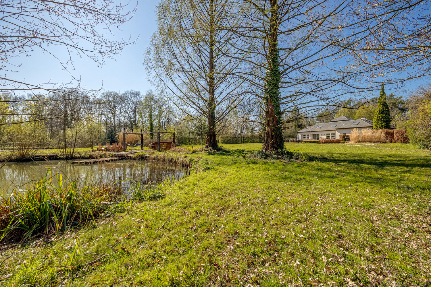 Villa op een uniek perceel van 1 hectare met vijver en zwembad - photo 2