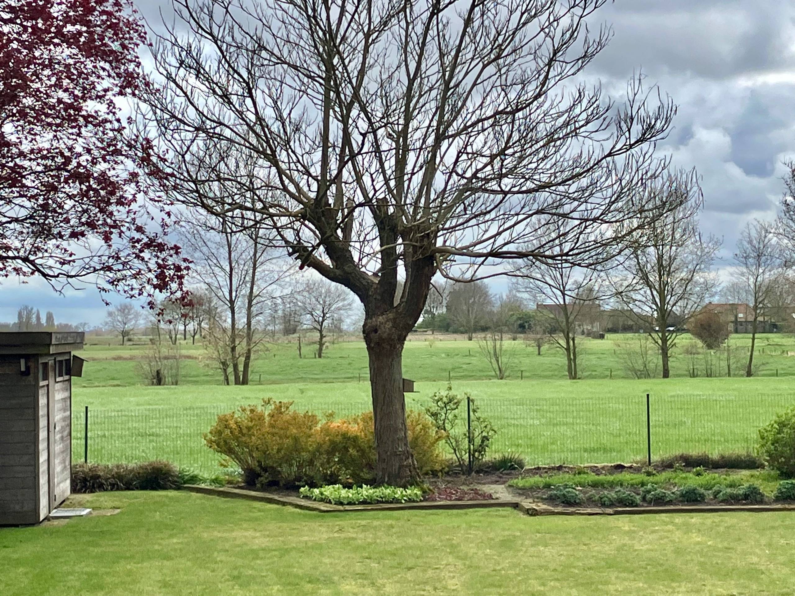 Huis te koop in Elversele met 3 slaapkamers - foto 1