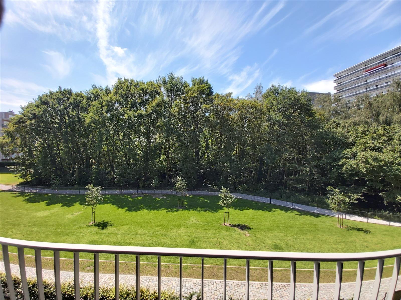 Apartment for rent in Mortsel with 3 bedrooms - photo 5